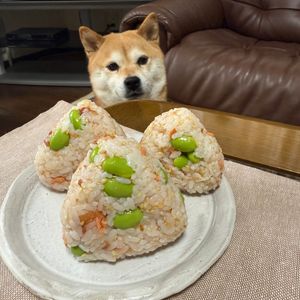 レイチーの作ってみた!投稿(枝豆と梅のほっこりおにぎり)