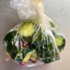 3分で完成♪袋で揉むだけ!白だし甘酢のきゅうり漬けの工程3
