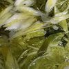 乳酸菌の作ってみた!投稿(豚バラと白菜と大根の重ね煮鍋)