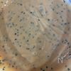 焼くまで5分！スーパーの食材で！『米粉黒ごまきな粉マフィン』の工程4