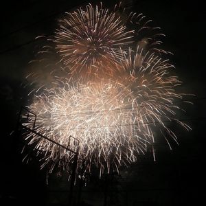 145773の作ってみた!投稿(【フライパンdeジャガイモと豚肉の重ね蒸し】)