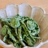 簡単！こごみの味噌マヨ和え