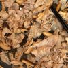 材料2つ！10分で完成！椎茸と豚ばら肉のご飯進む甘辛炒めの工程3