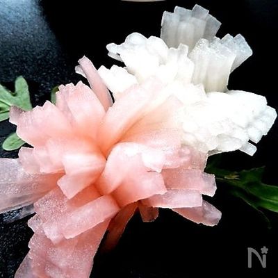 紅白菊花大根