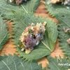鯵のつみれ★大葉巻き揚げの工程6