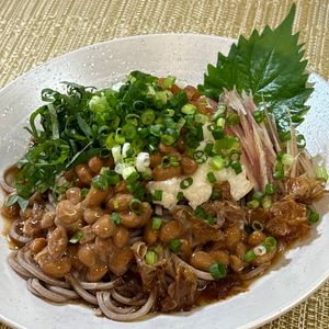 楽ラク手抜キッチン🐶🐾の作ってみた!投稿(【ねばとろ梅だしそば】暑い日はこれ！さっぱり美味しい)
