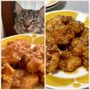 のりのり🐾🎀🤍の作ってみた!投稿(たれはレンジで♪【甘酢だれ唐揚げ》やみつき♡)