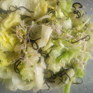 1バーバミーの作ってみた!投稿(レタス半玉消えた！！無限レタス)