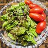 ナムディの作ってみた!投稿(抱えて食べたい♩やみつき塩昆レタス)
