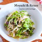 無限！やみつき！『もやしとレタスのゴマぽんサラダ』