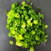 包まず簡単！ねぎだく棒餃子の工程1