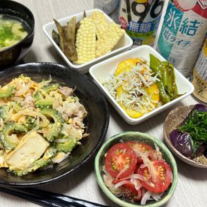 みーこの作ってみた!投稿(苦み少なめ！家族が絶賛した【旨塩ゴーヤチャンプルー】)