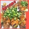 サトちゃんの作ってみた!投稿(家族も身体もよろこぶ！【舞茸の肉巻き】甘辛ダレでご飯が進む)