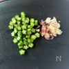 【納豆もずく豆腐】さっぱりヘルシー！栄養満点◎の工程2