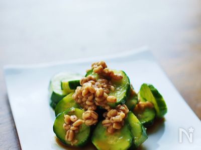 船 文献 ラベ 麦 麹 漬物 Whipplecompanystore Org