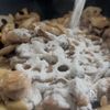 秋のごちそう【れんこんの和風グラタン】の工程4