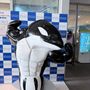 あやぼーるぅっ