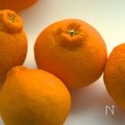 旬の果物デコポンで目指せ美人肌！！意外な食材との組み合わせで驚きの美肌効果を手に入れよう。