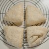 素朴な美味しさ♪自家製酵母で作る全粒粉ベーグルの工程4