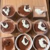 644231の作ってみた!投稿(【バレンタインに】冷やして固める！簡単チョコムース)