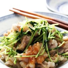 豆苗と豚肉のオイスターソース炒め