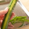 箸が止まらない！5分で作るきゅうりの浅漬けの工程1
