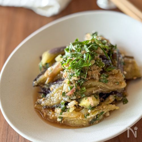レンジで簡単！【とろとろナスの薬味だれ】