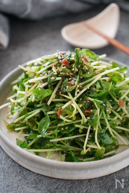 豆苗の梅ナムル