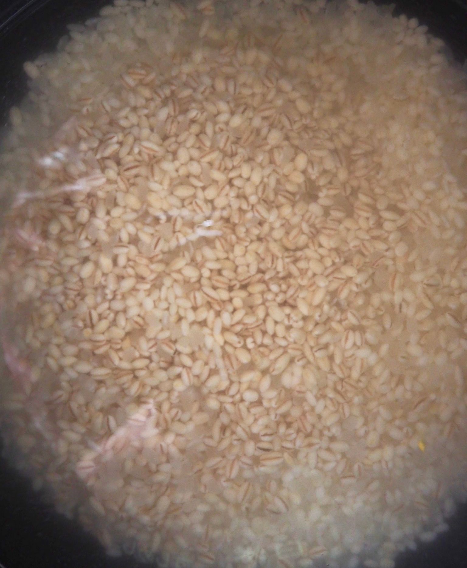 炊飯器で作れる もち麦入りカラフルおはぎ おはぎとぼた餅 レシピサイト Nadia ナディア プロの料理家のおいしいレシピ