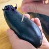 【レンジだけ！包丁いらず！】蒸し鶏となすの味噌だれ和えの工程1