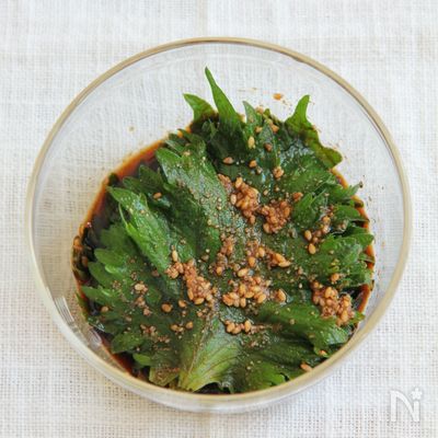 大葉のごましょうゆ漬け《ごはんが進む!》
