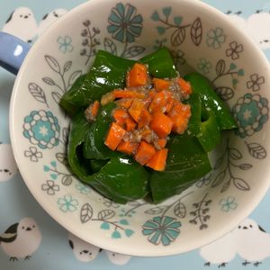 名もなきアラフィフ☆の作ってみた!投稿(メイン食材1つだけ！ピーマンのアンチョビ炒め)