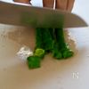 【鶏肉となすの鍋しぎ】昔ながらのご飯泥棒！！の工程1