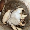 食べるまで5分!冷え防止!【醤油麹豆腐あんかけ】の工程2