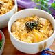 【ささみの親子丼】節約★ヘルシーなのにパサパサしない！