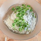 食欲がないときでもOK！しらすとカイワレ大根の白だしそうめん