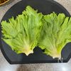 旨みじゅわ〜♡【絶品ロールレタス】外葉が美味しいごちそうに♪の下準備