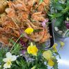 そら・ゆずの作ってみた!投稿(玉ねぎのかき揚げ 野菜だけでご馳走!)