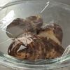 レンジでつるん!おつまみさといもの工程1