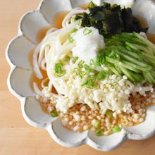 冷やしたぬきうどん