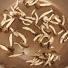 しめじとブロッコリーの鶏だし豆腐煮込みの工程2