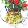 tennisloveの作ってみた!投稿(驚く美味しさ！切り干し大根の和風サラダ)