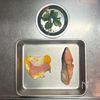 後片付けラクラク！【塩ざけとパッタンハムエッグの彩り弁当】の工程5