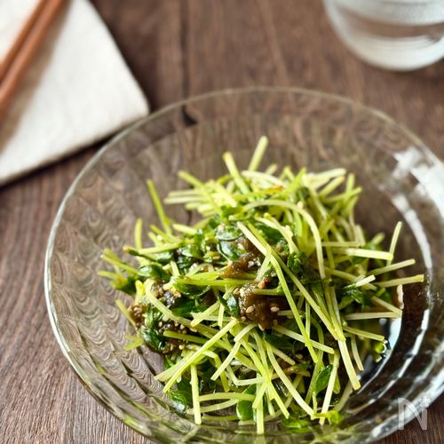 材料ふたつで副菜！《とろろ昆布の豆苗サラダ》