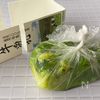 【切ったら感動!】緑野菜のテリーヌ・白だし仕立ての工程8