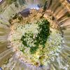 あっさり和風！鶏むね肉と白菜の和風水ギョーザの工程2