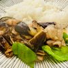 noajiroの作ってみた!投稿(茄子がメインの「茄子と豚肉の生姜焼き」)