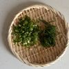 レンチンで手軽！オシャレな◎【とろっとナスのクリームソース】の工程2