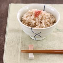 紅生姜と茗荷のごはん