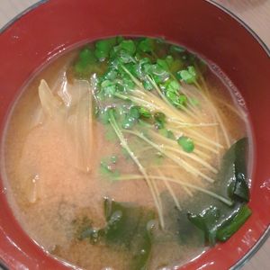 たりおの作ってみた!投稿(かいわれ大根の美味しい食べ方😋1位✨お味噌汁🤤🌱)